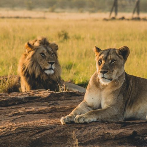 Tanzania