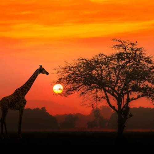 Kenya